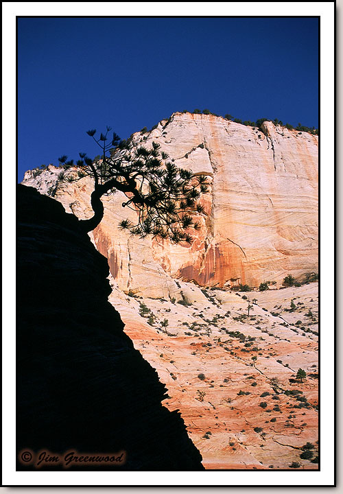 East Zion