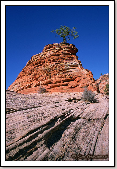 East Zion
