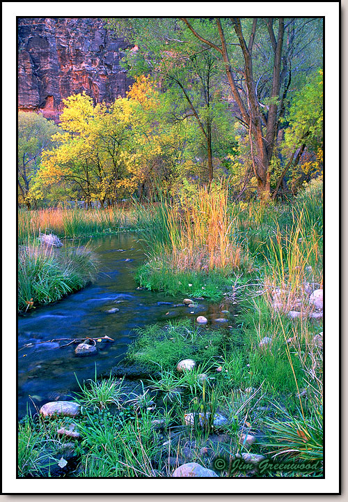 Virgin River