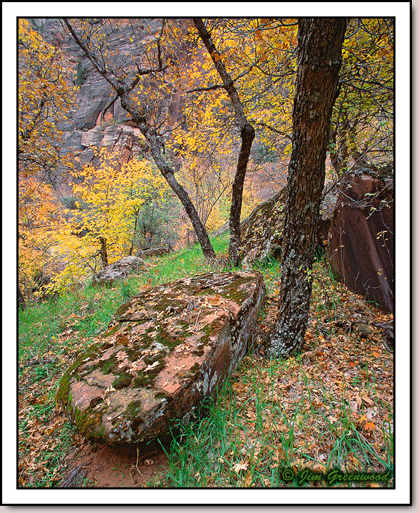 Zion Canyon