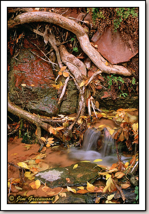 Zion Canyon