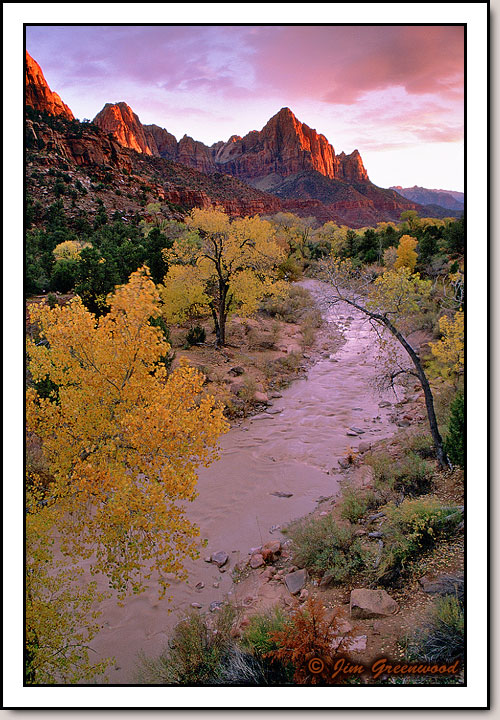 The Watchman