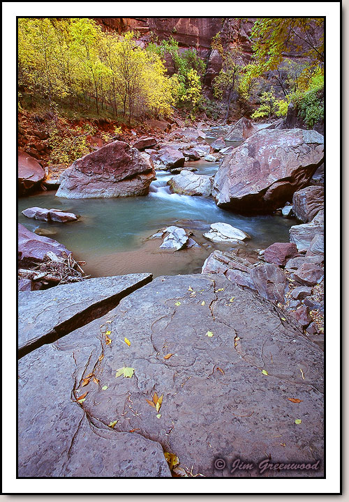 Virgin River