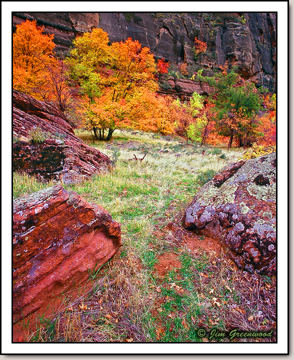 Zion Canyon