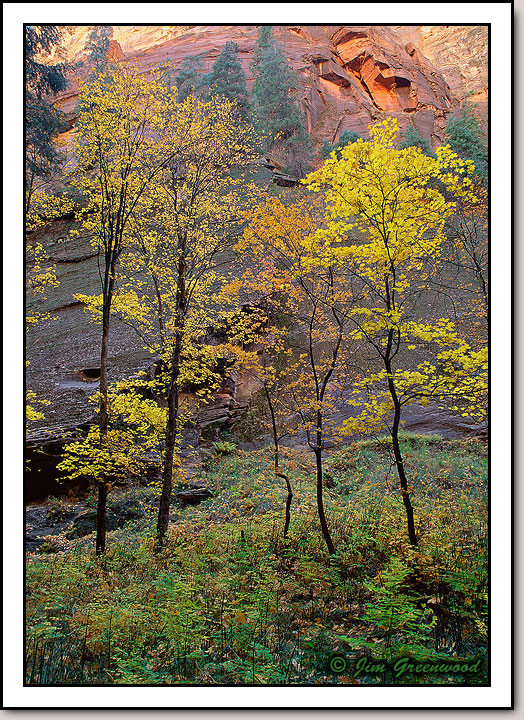 The Narrows