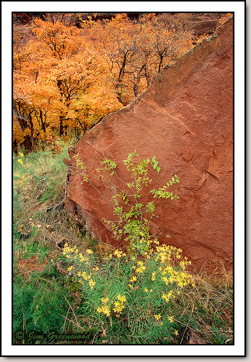 Zion Canyon