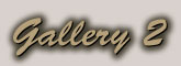 Gallery 2 Index