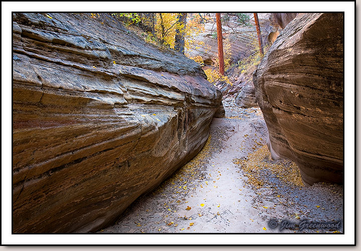 East Zion