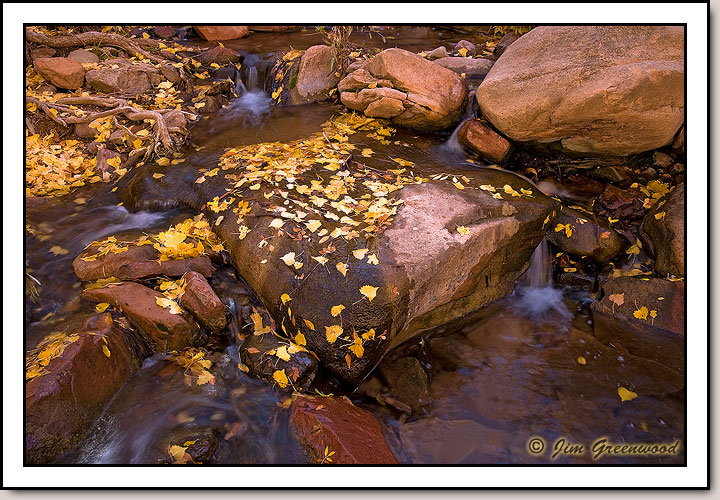 Pine Creek