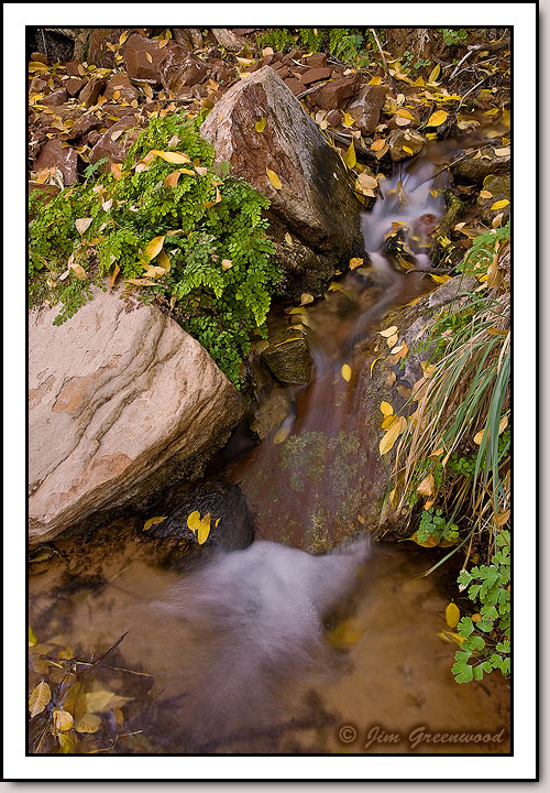 Zion Canyon