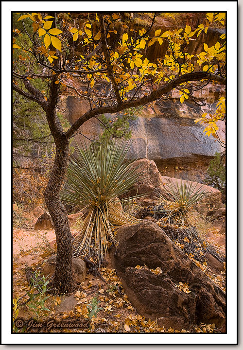 Pine Creek Canyon