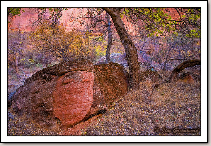 Zion Canyon