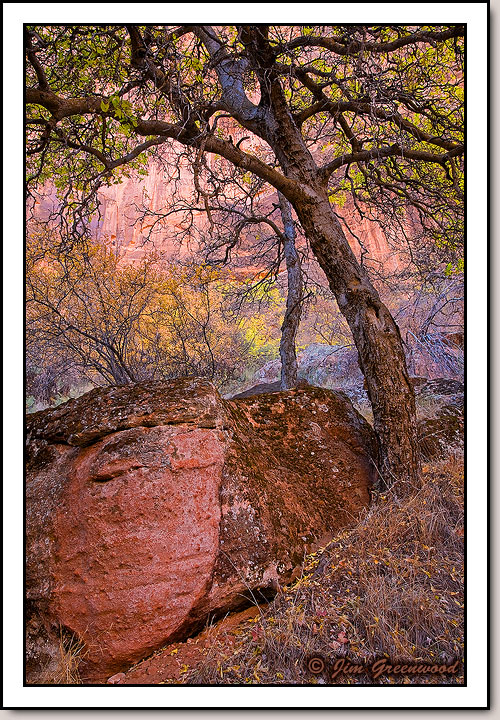 Zion Canyon