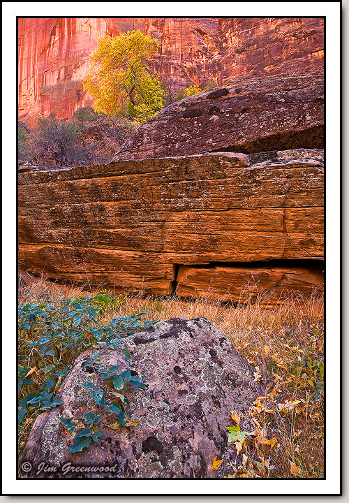 Zion Canyon