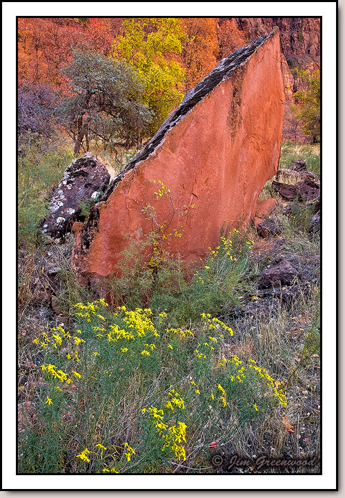 Zion Canyon