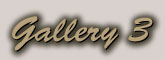 Gallery 3 Index