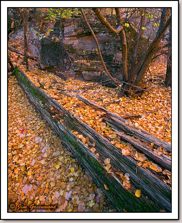 Zion Canyon