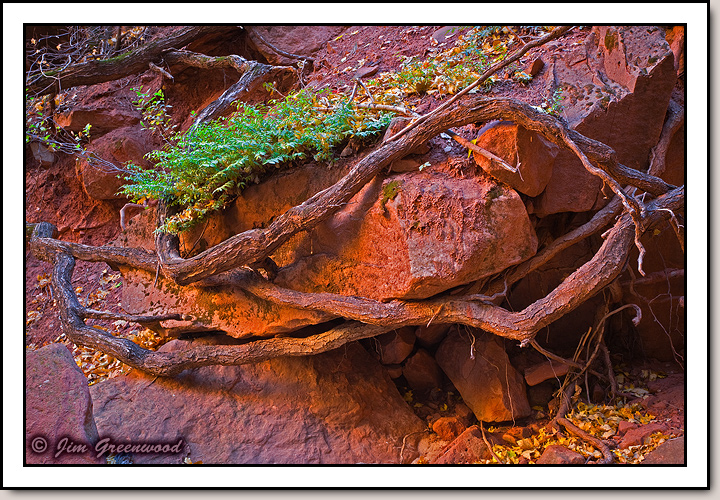 Zion Canyon