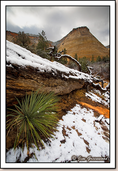East Zion