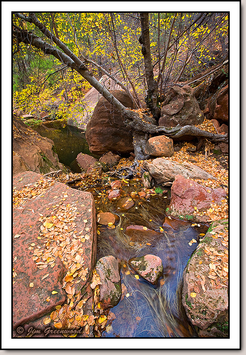 Zion Canyon