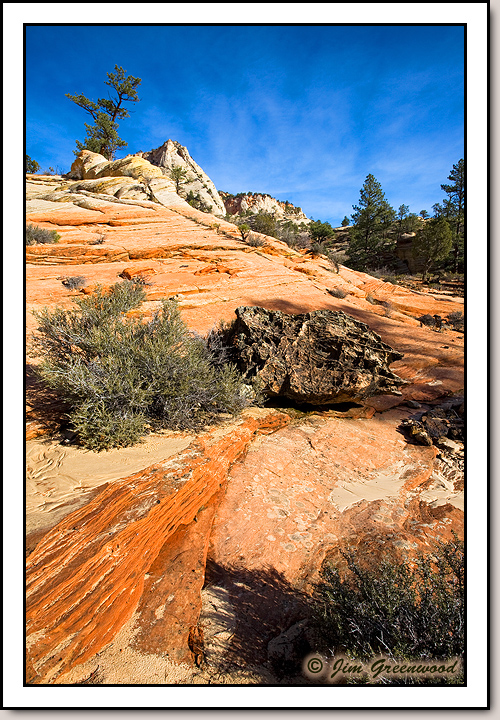 East Zion