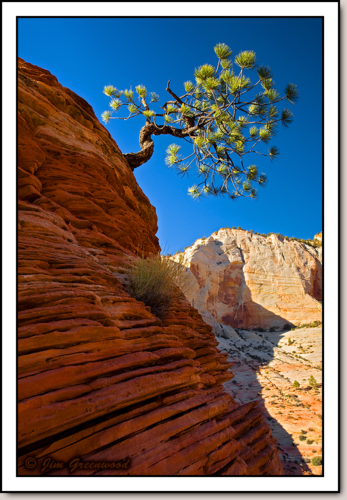 East Zion