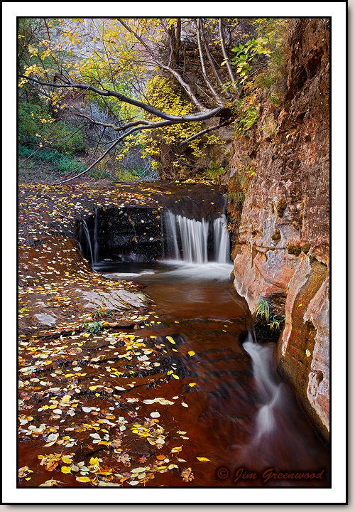 North Creek - Left Fork