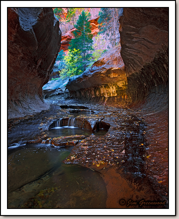 The Subway
