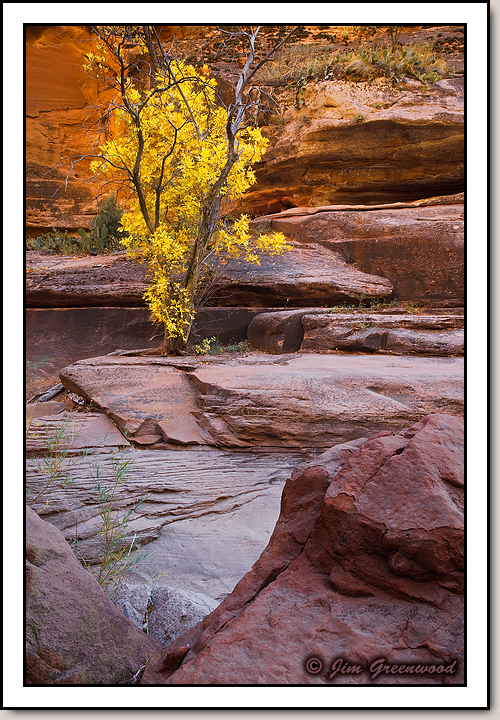 Pine Creek