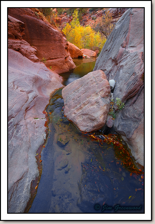 Pine Creek
