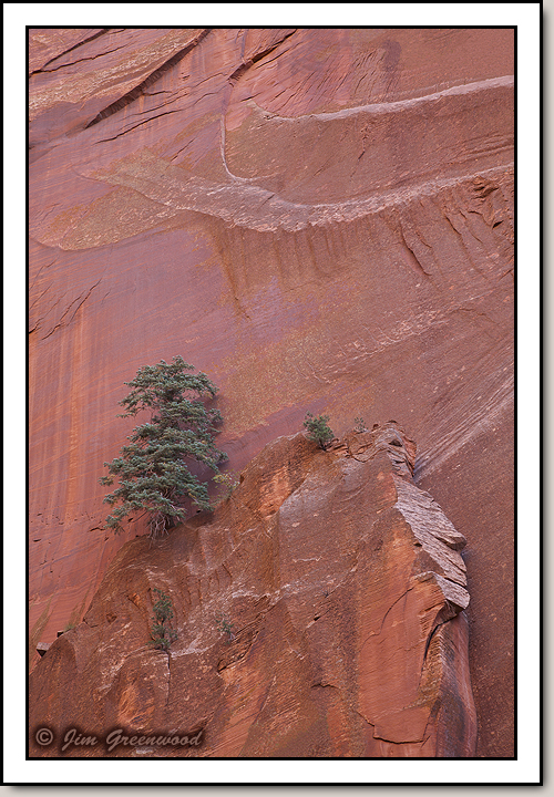 Kolob Canyons
