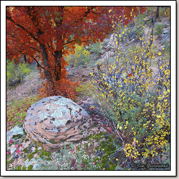 Zion Canyon