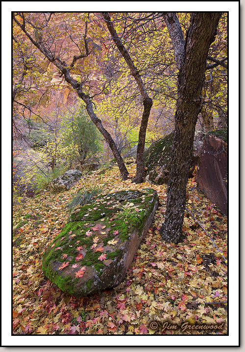 Zion Canyon