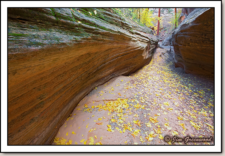 East Zion
