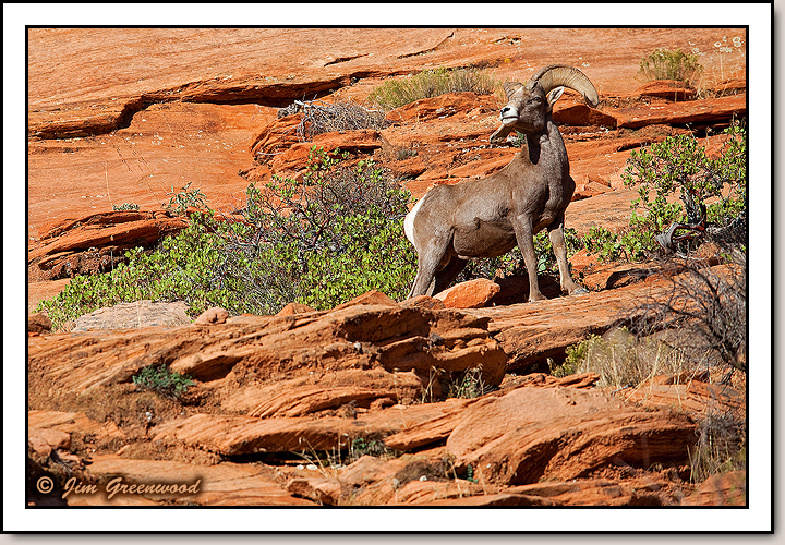 East Zion