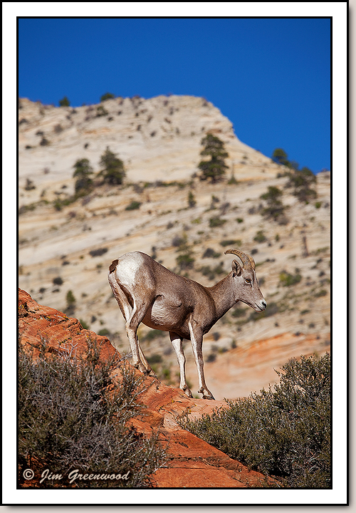 East Zion