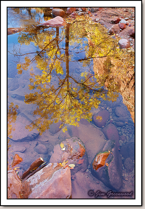 Pine Creek