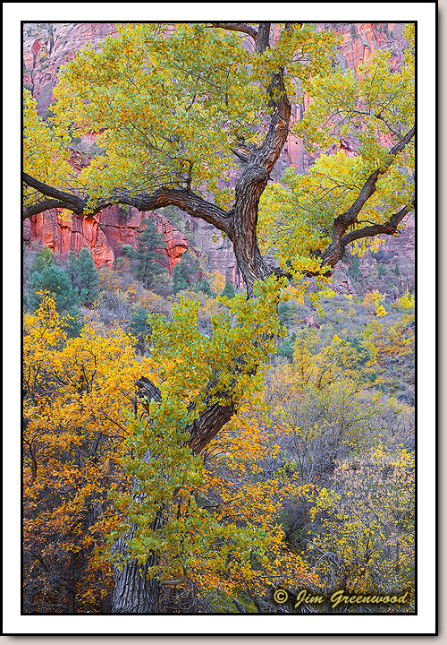 Zion Canyon