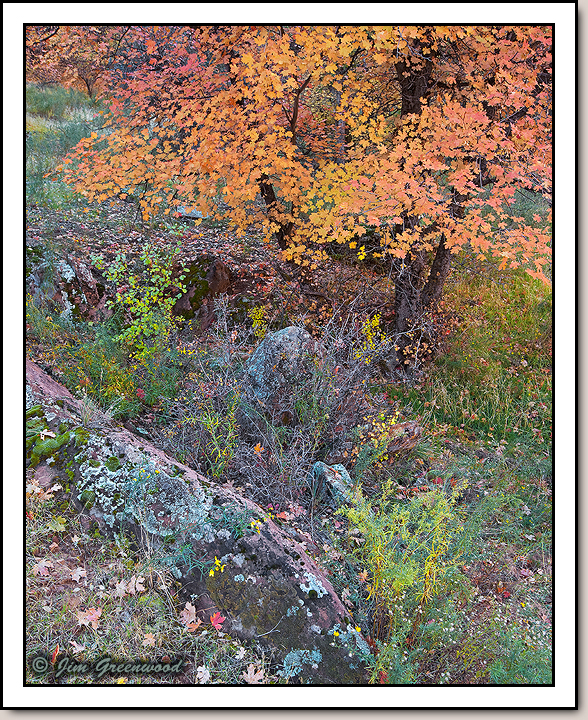 Zion Canyon