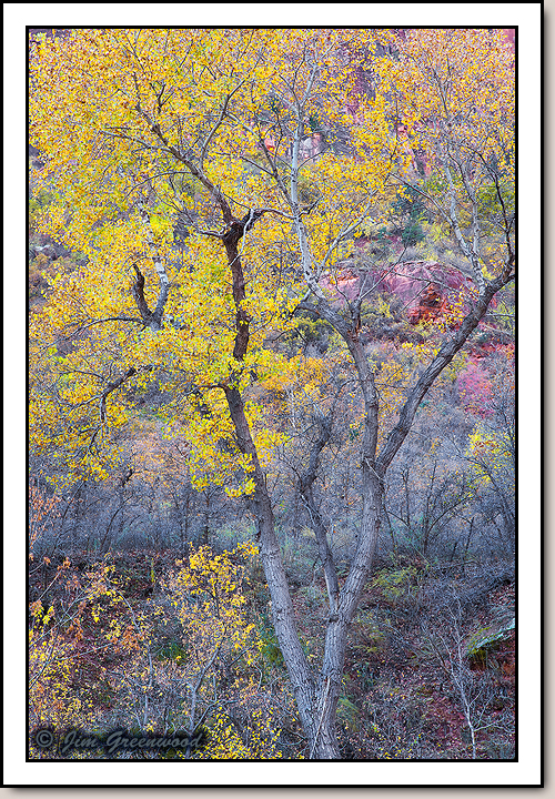 Zion Canyon