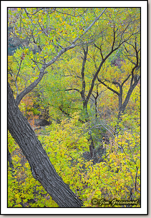 Zion Canyon