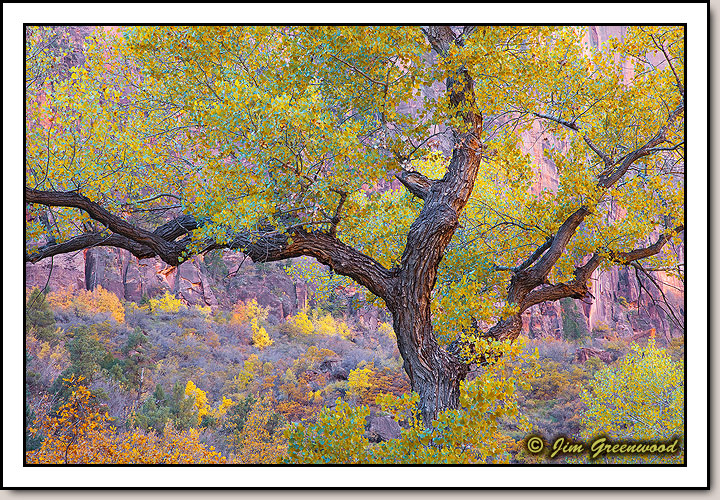 Zion Canyon
