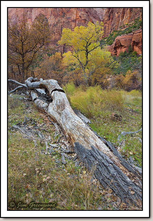 Zion Canyon