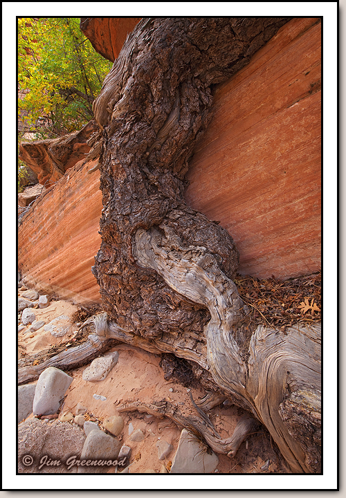 East Zion