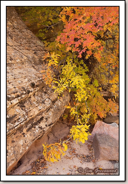 East Zion
