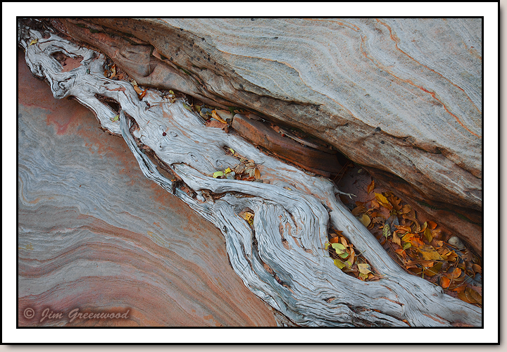 East Zion