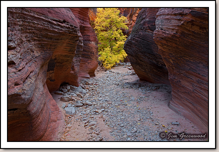 East Zion