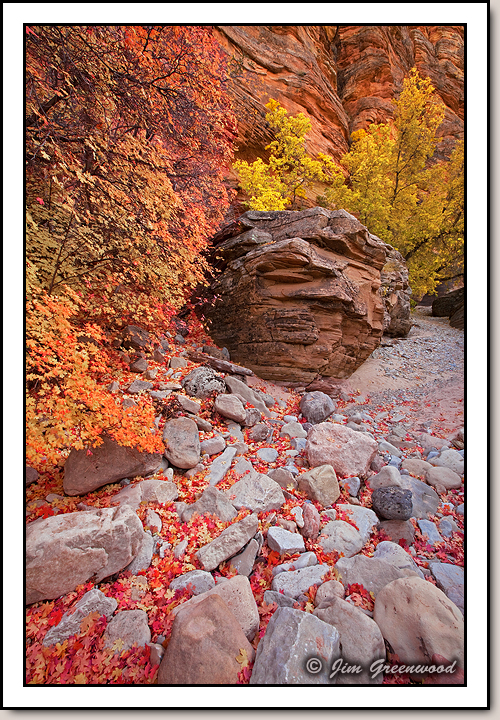 East Zion