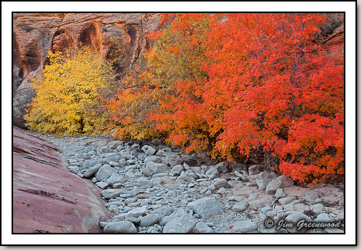 East Zion