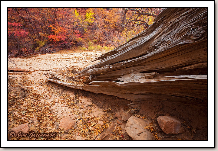 East Zion